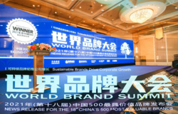 品牌价值102.85亿元！安然公司入选2021年中国500最具价值品牌
