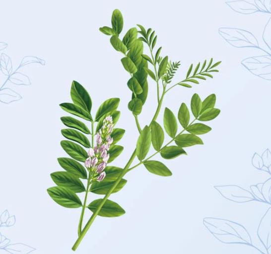 360截图20230712102231177.jpg 360截图20230712102231177.jpg