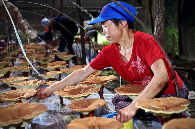 360截图20230915144116622.jpg 360截图20230915144116622.jpg