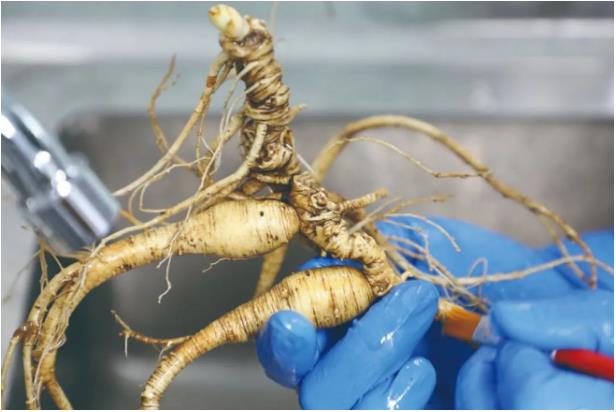 360截图20230922120433790.jpg 360截图20230922120433790.jpg