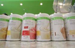 进博“六年级生” 康宝莱以全新形象亮相四叶草