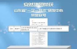 安然集团获评2023年山东省“一企一技术”研发中心