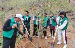 安然绿“绘”进腾格里沙漠  让禁区有了生命色