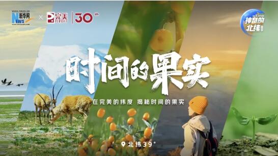 QQ截图20240625114832.jpg