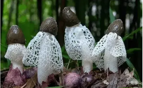 QQ20240910-111643.jpg