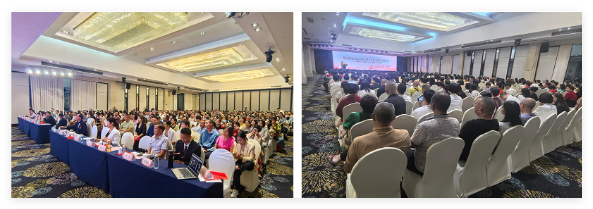 QQ20241023-153828.jpg QQ20241023-153828.jpg