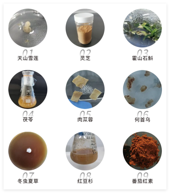 QQ20241024-115457.jpg QQ20241024-115457.jpg