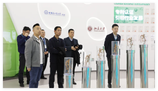QQ20241112-171158.jpg
