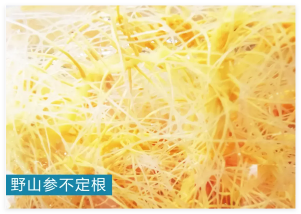 QQ20241217-120301.jpg