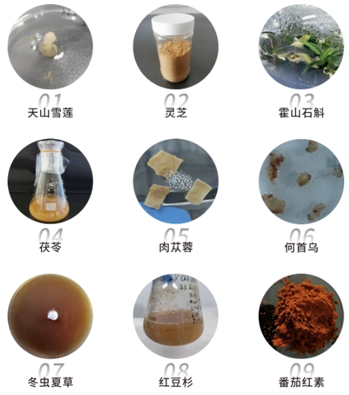 微信截图_20250206130752.png