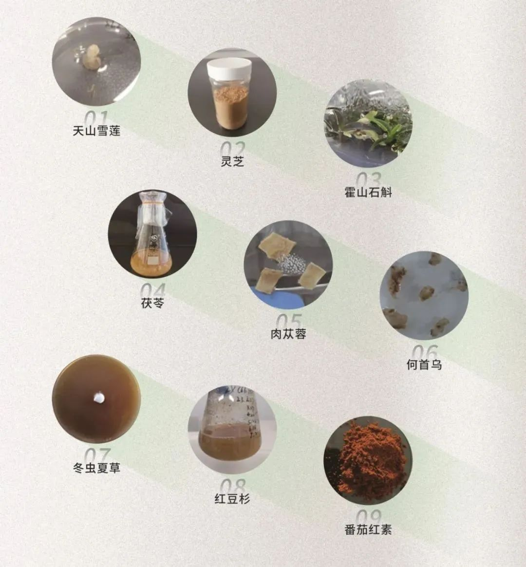 图片13.png