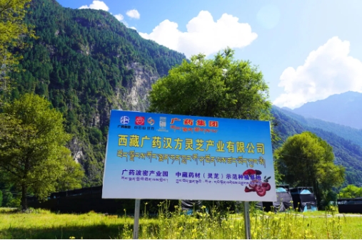 微信截图_20250310161201.png