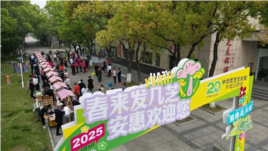 微信截图_20250410174729.png