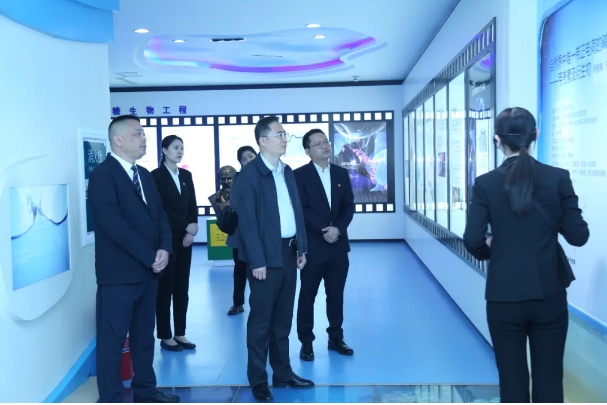 微信截图_20250411154651.png