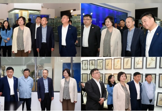 微信截图_20250424144842.png