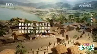 图片12.png