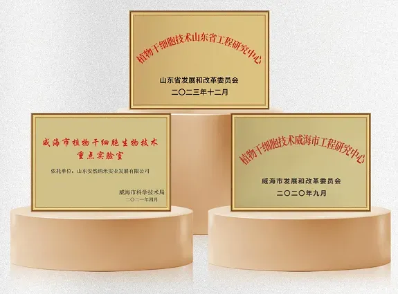 图片19.png