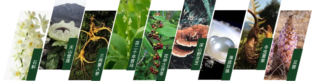 图片22.png