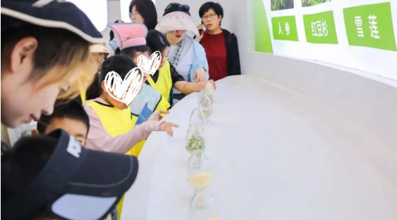 7.png