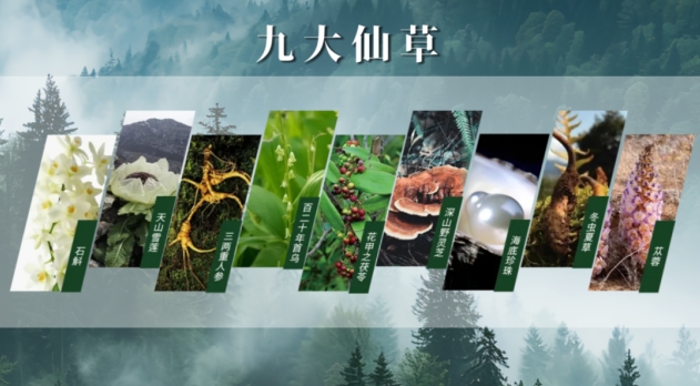 13.png