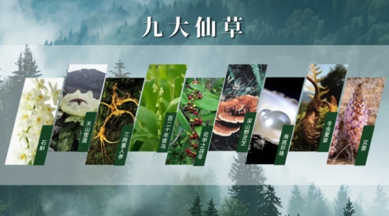 11.png