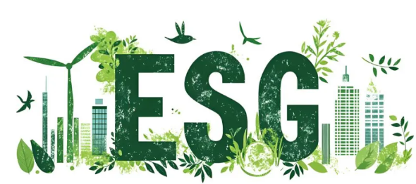 5.png 5.png