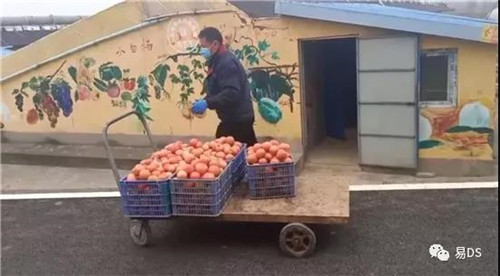 彭墩集团调集爱心物资支援一线医务工作者