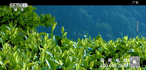 理想焦家良作词的《茶语心境》MV登陆央视