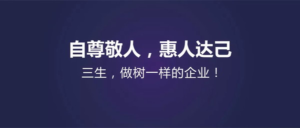 3.webp.jpg