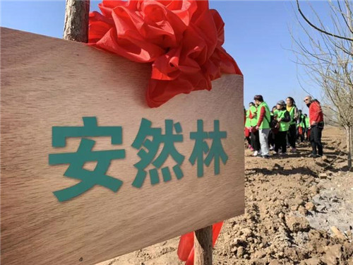 安然合肥、石家庄分公司公益植树活动接力开启