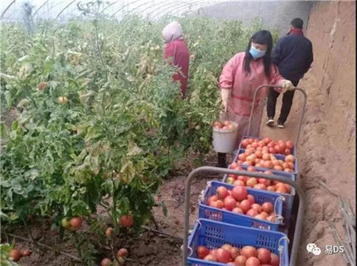 彭墩集团调集爱心物资支援一线医务工作者