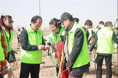 安然合肥、石家庄分公司公益植树活动接力开启