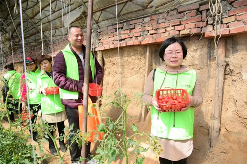 安然合肥、石家庄分公司公益植树活动接力开启