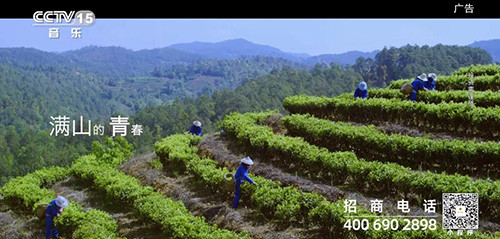 理想焦家良作词的《茶语心境》MV登陆央视