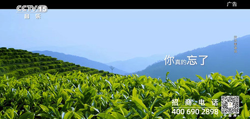 理想焦家良作词的《茶语心境》MV登陆央视