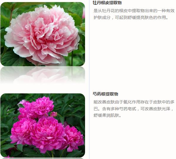360截图20201104095731095.jpg 360截图20201104095731095.jpg