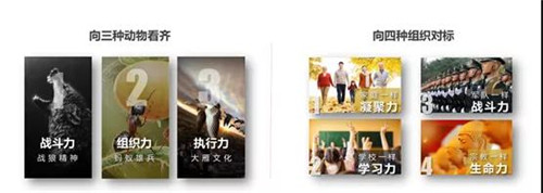 三生总裁说：孙总裁带你一起畅谈成功背后的团队魅力