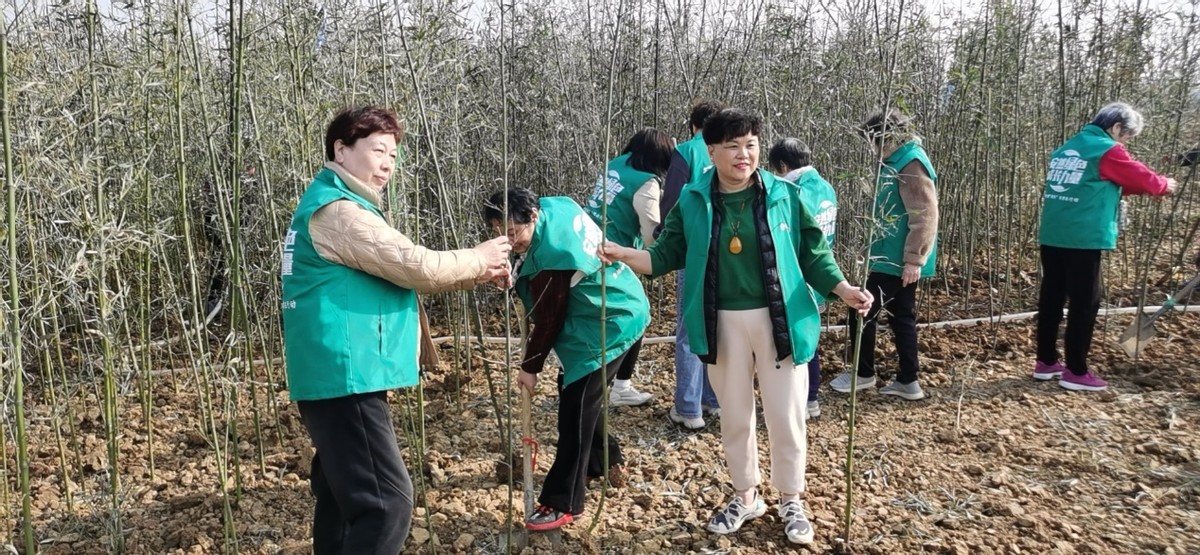 “绿色成长力量—助力碳中和·安然在行动”植树活动多城成功举办