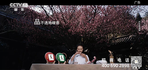 理想焦家良作词的《茶语心境》MV登陆央视
