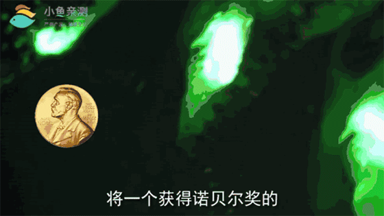 微信图片_20180904094700