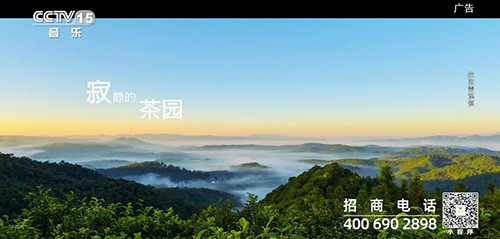 理想焦家良作词的《茶语心境》MV登陆央视