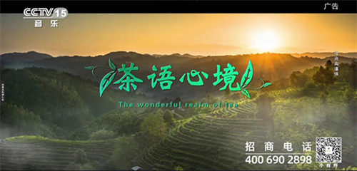 理想焦家良作词的《茶语心境》MV登陆央视