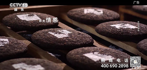 理想焦家良作词的《茶语心境》MV登陆央视