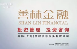 百亿平台善林金融 说倒就倒