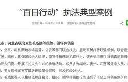 市场监管总局公布“百日行动”执法典型案例