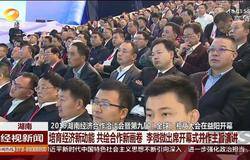 绿之韵董事长胡国安受邀出席2019 湖南经济合作洽谈会暨第九届（全球）湘商大会，助力湖南高质量发展 