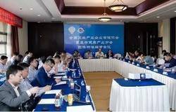 双迪参与氢医学健康产业三项团体标准编审 