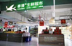隆力奇春播生鲜超市盛大开业