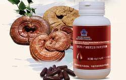 【新品预告】天津康婷新品破壁灵芝孢子粉灵芝胶囊即将震撼上市