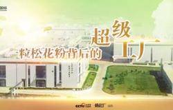 新时代丨“智”造魅力 松花粉背后的超级工厂